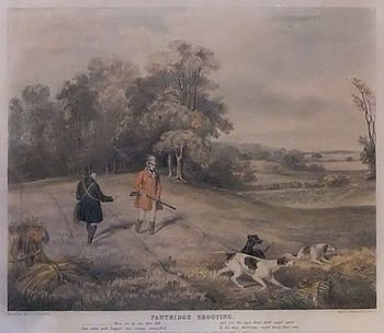 F.c.turner "Partridge Shooting" Old Print