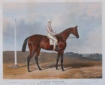 Racehorses: Series of 12 Scarce Antique Prints