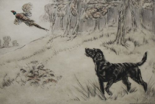 Henry Wilkinson "Sporting Scene" Etching