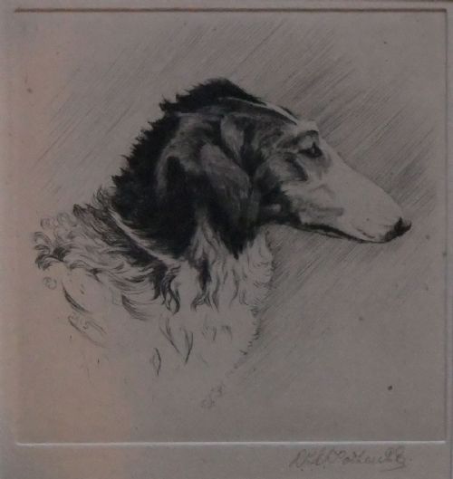Borzoi Original Etching by Woodhouse
