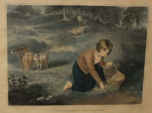 fig 1. A late Georgian hand-coloured print depicting a boy kneeling by a wooded riverbank holding a fishing rod.