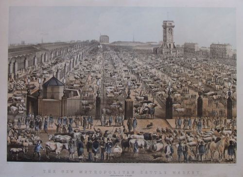 "The New Metropolitan Cattle Market, Copenhagen Fields", London, Old Lithograph 1856