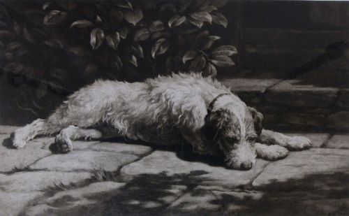 Herbert Dicksee "A Place in the Sun" Old Dog Etching