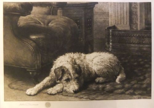 Herbert Dicksee "Caesar" Original Etching of a Terrier
