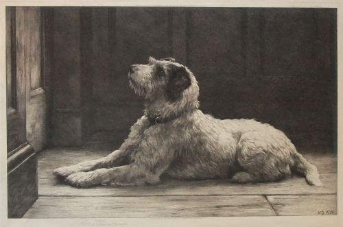 Herbert Dicksee "The Closed Door" Dog Etching.