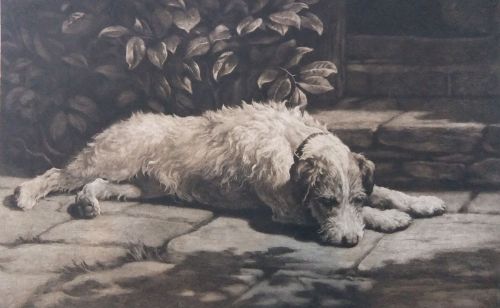 Herbert Dicksee Dog Etching "A Place in the Sun"