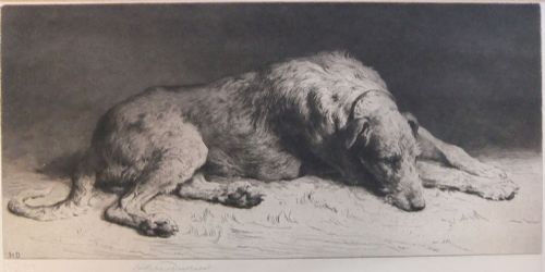 Herbert Dicksee "Waiting" Etching of a Deerhound