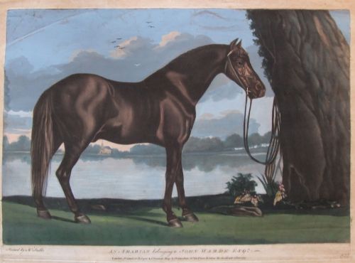 George Stubbs Horses. Rare Pair of Old Mezzotints.