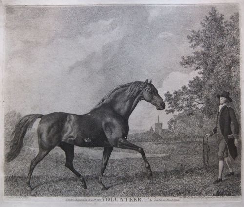 George Stubbs Two Old Racehorse Prints "Volunteer" and "Sweetbryer"