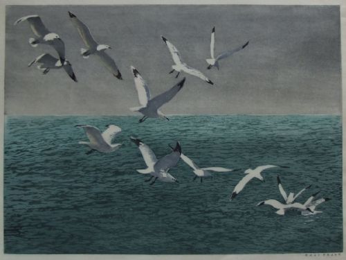 Hans Frank Woodcut "Seagulls"