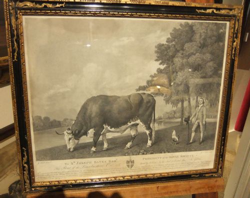 fig 1. George Stubbs engraving