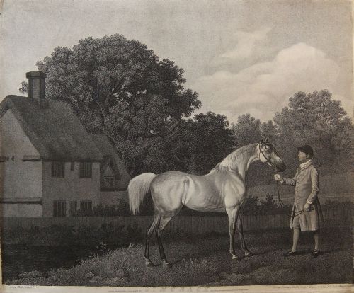 George Stubbs "Gimcrack" Old Racehorse Print Dated 1811.