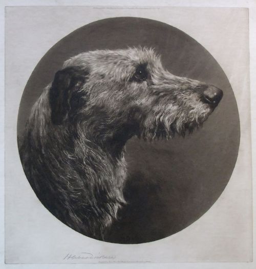 Herbert Dicksee "The Old Hound" Original Etching