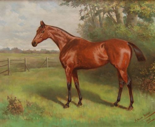 Adrian Jones, Oil Painting of the Horse "Golden Eye"
