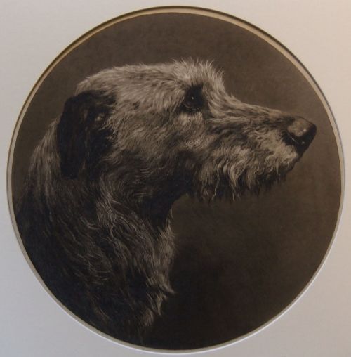 Herbert Dicksee "The Old Hound" Artist's Etching
