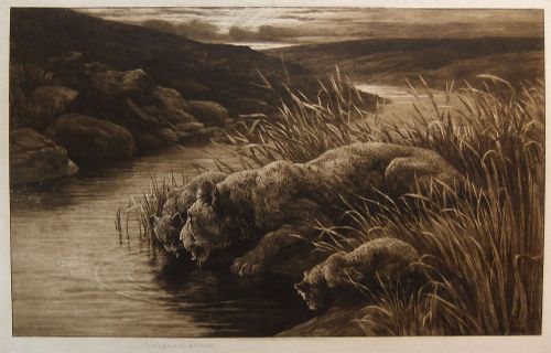 Herbert Dicksee "Peace" Original Etching.