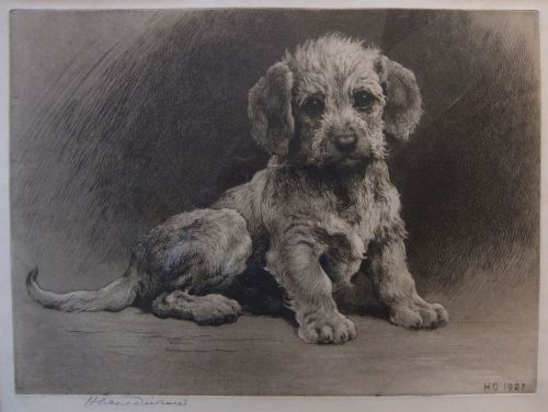 Herbert Dicksee "Dandie Pup" Original Etching