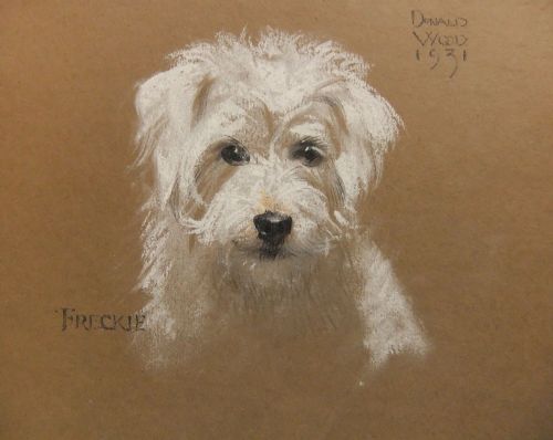 Donald Wood "Freckle" Pastel Dog Portrait.