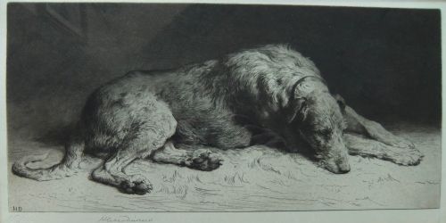 Herbert Dicksee "Waiting" Deerhound Etching