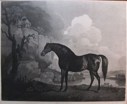 George Stubbs "Marske" Racehorse Engraving