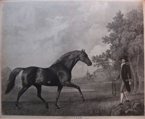 George Stubbs "Volunteer" Racehorse Engraving