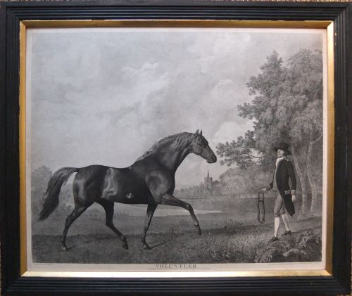 fig 1. George Stubbs
