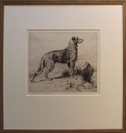 fig 1. Herbert Dicksee, Scottish Deerhound etching