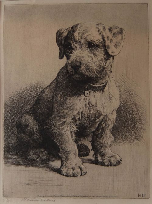 Herbert Dicksee "A Sealyham Pup" Etching