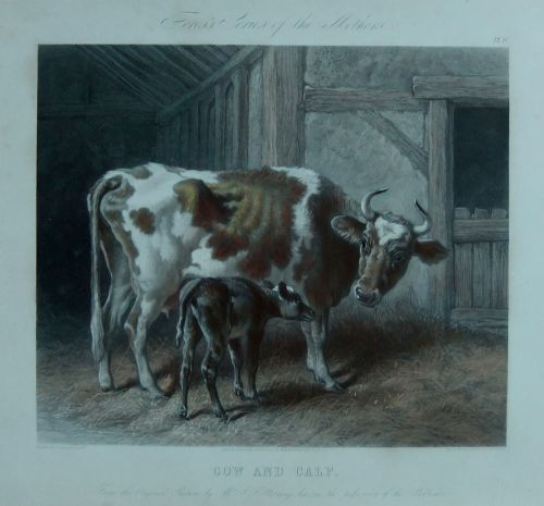 fig 1. J.F.Herring