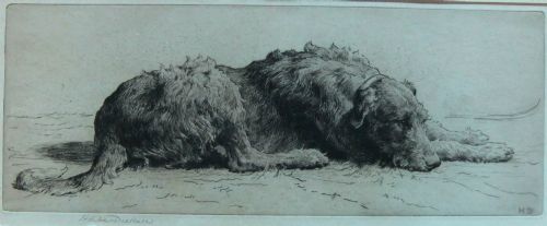 Herbert Dicksee "A Hound at Rest" Rare Etching