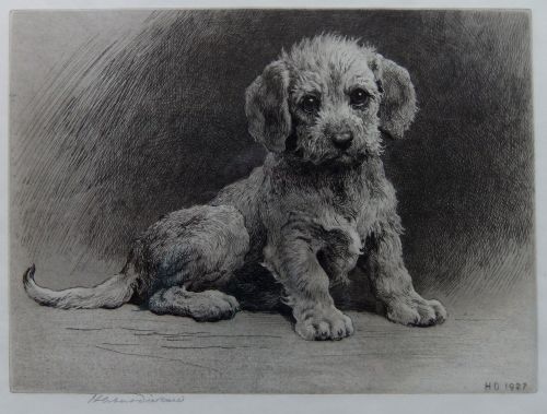 Herbert Dicksee "Dandie Pup" Original Etching