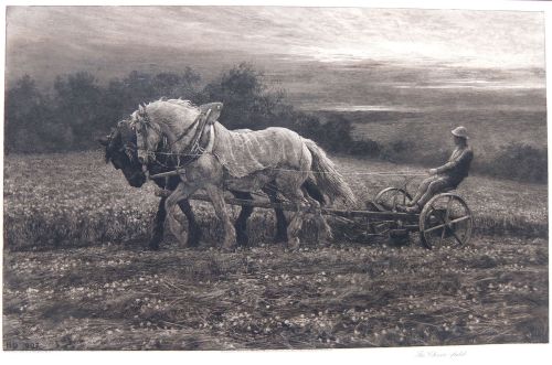 Herbert Dicksee "The Clover Field" Etching