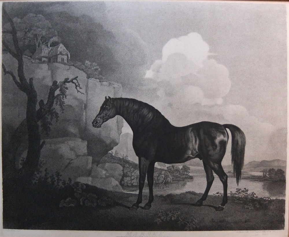 George Stubbs 