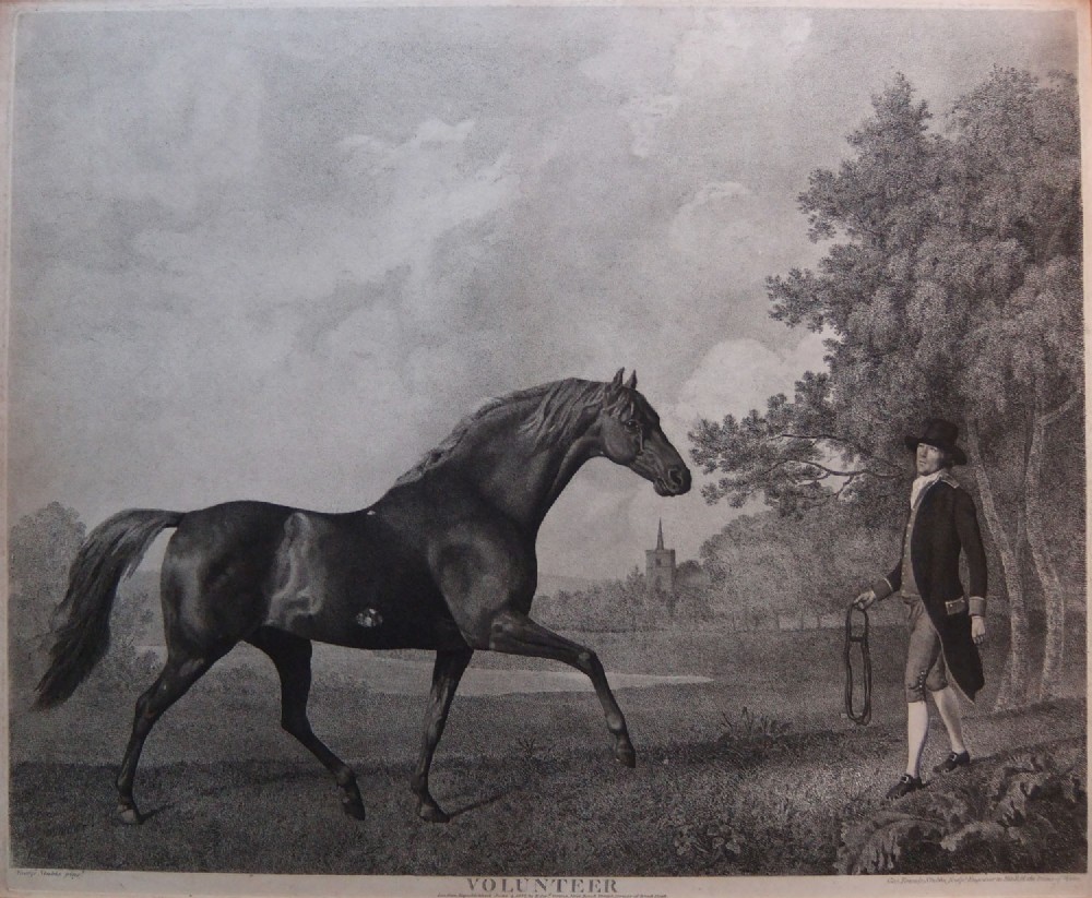 George Stubbs 