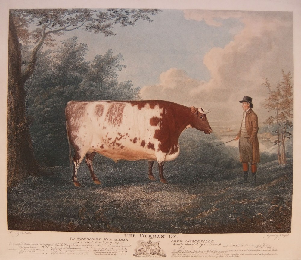 J. Boultbee 