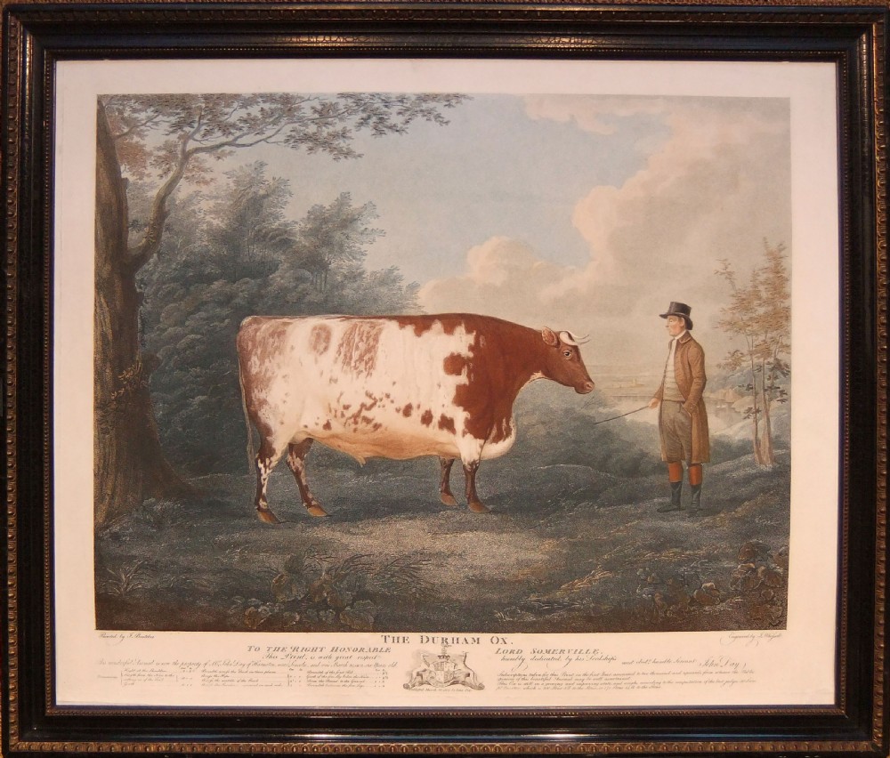 J. Boultbee 