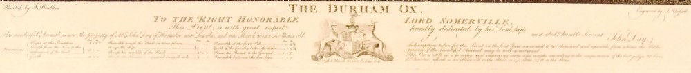 J. Boultbee 