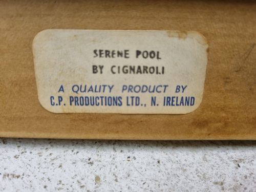 VINTAGE TEXTURED PRINT SERENE POOL AFTER CIGNAROLI C1955 - ADDITIONAL PHOTO 9