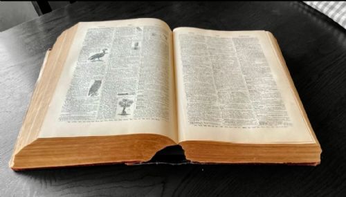 ANTIQUE WEBSTERS INTERNATIONAL DICTIONARY OF THE ENGLISH LANGUAGE 1907 EDITION - ADDITIONAL PHOTO 6