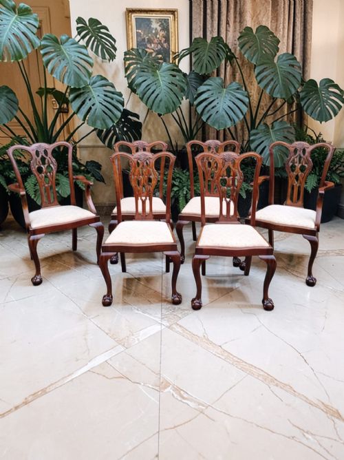 ANTIQUE EDWARDIAN CHIPPENDALE MAHOGANY DINING CHAIRS SET OF 6 CARVED BACK C1910