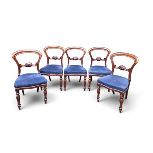 fig 1. A set of five Victorian mahogany balloon back dining chairs with carved mid-rails, turned front legs, and blue velvet upholstered seats.
