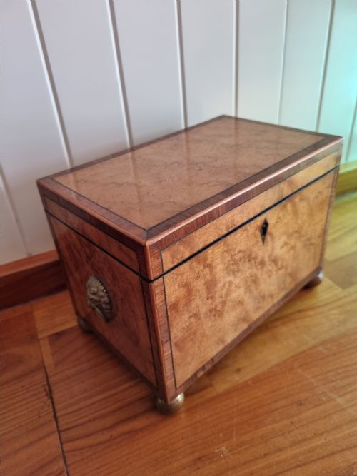 fig 1. GEORGIAN BIRDS EYE MAPLE AND ROSEWOOD BANDED TEA CADDY