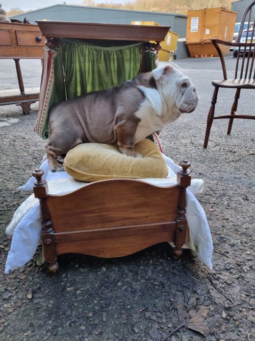 fig 1. AN UNIQUE 19THC MAHOGANY HALF TESTER BED FOR A DOG/CHILD?
