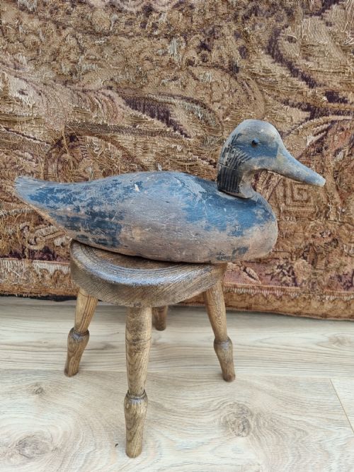 A Good Antique Large Painted Decoy Duck (Glass Eyes)