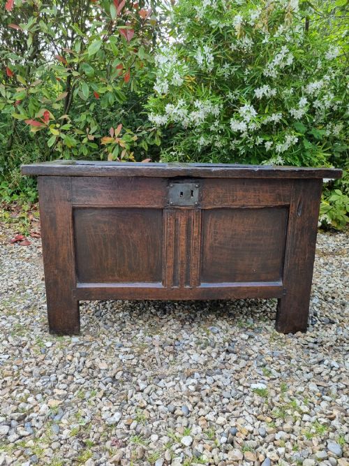 A Fine Small Mid 17thc Oak 2 Panelled Coffer
