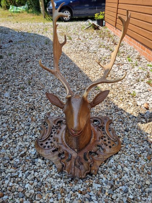 Fabulous Carved Wood Stags Head with Antlers.