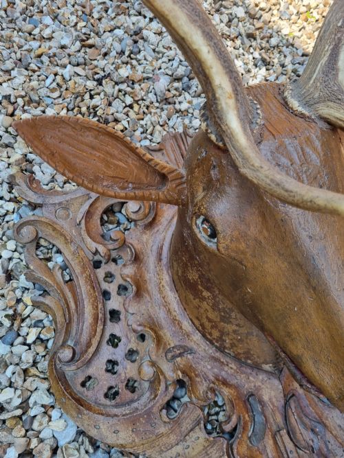 fig 1. FABULOUS CARVED WOOD STAGS HEAD WITH ANTLERS.