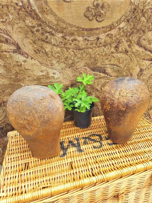 2 Antique Milliners Wooden Heads  Large
