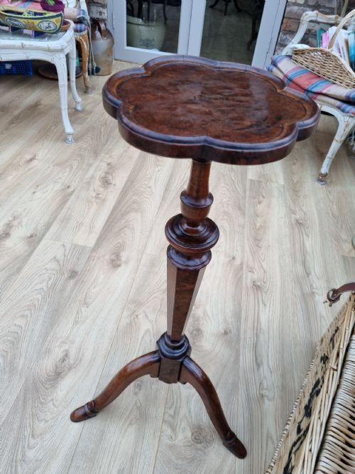 18thc " Manx" Burr Oak/elm Candle Stand Complete with Manx Shoes