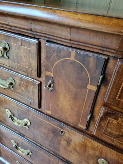fig 2. 18THC WALNUT